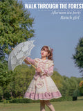 Plus Size Lolita Princess Dress - Cream & Pink Little Gardener OP